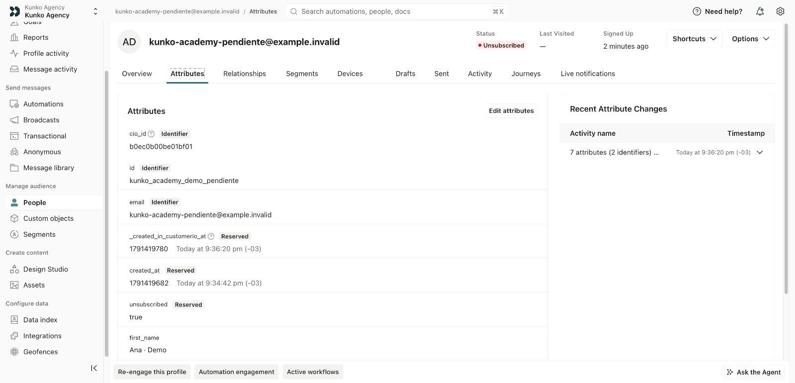 Pestaña Attributes de un perfil de demostración